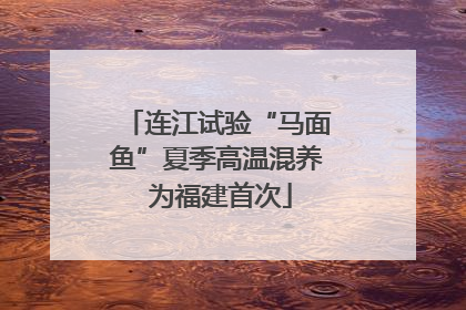 连江试验“马面鱼”夏季高温混养 为福建首次
