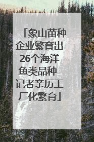 象山苗种企业繁育出26个海洋鱼类品种 记者亲历工厂化繁育