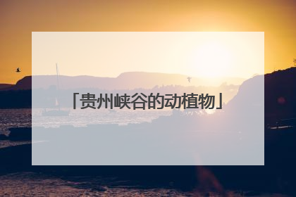 贵州峡谷的动植物