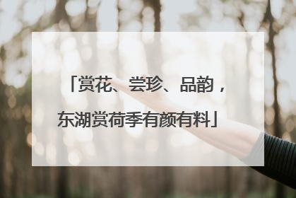 赏花、尝珍、品韵，东湖赏荷季有颜有料