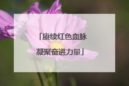 赓续红色血脉 凝聚奋进力量