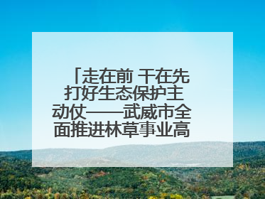 走在前 干在先 打好生态保护主动仗——武威市全面推进林草事业高质量发展综述