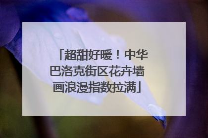 超甜好暖！中华巴洛克街区花卉墙画浪漫指数拉满