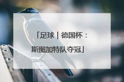 足球｜德国杯：斯图加特队夺冠