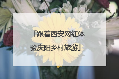 跟着西安网红体验庆阳乡村旅游