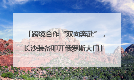 跨境合作“双向奔赴”，长沙装备叩开俄罗斯大门