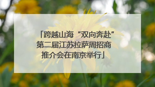 跨越山海“双向奔赴” 第二届江苏拉萨周招商推介会在南京举行
