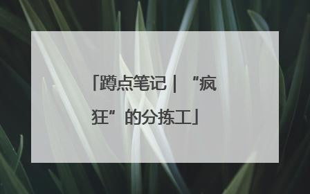 蹲点笔记｜“疯狂”的分拣工