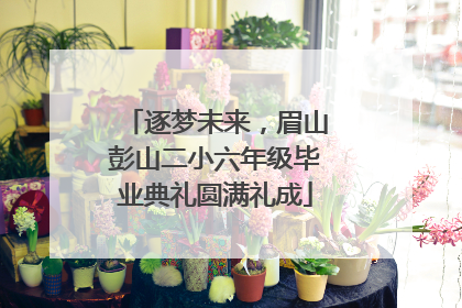 逐梦未来，眉山彭山二小六年级毕业典礼圆满礼成