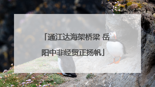 通江达海架桥梁 岳阳中非经贸正扬帆