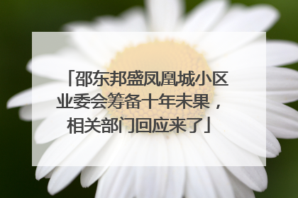 邵东邦盛凤凰城小区业委会筹备十年未果，相关部门回应来了