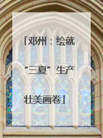 邓州：绘就“三夏”生产壮美画卷
