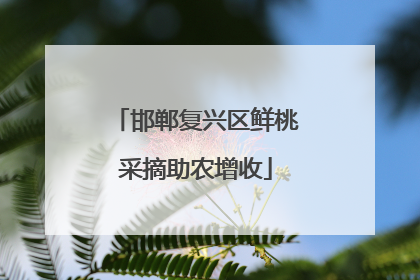 邯郸复兴区鲜桃采摘助农增收
