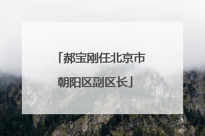 郝宝刚任北京市朝阳区副区长
