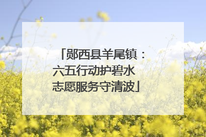 郧西县羊尾镇：六五行动护碧水 志愿服务守清波