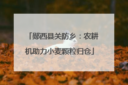 郧西县关防乡：农耕机助力小麦颗粒归仓
