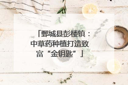 鄄城县彭楼镇：中草药种植打造致富“金钥匙”