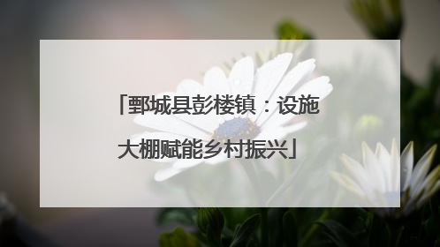 鄄城县彭楼镇：设施大棚赋能乡村振兴