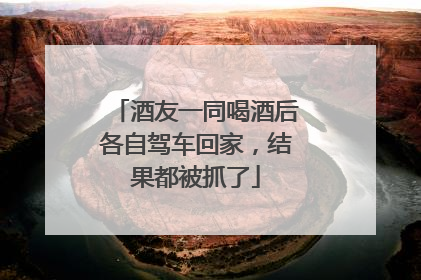 酒友一同喝酒后各自驾车回家，结果都被抓了