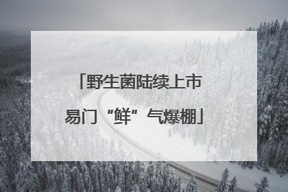 野生菌陆续上市 易门“鲜”气爆棚