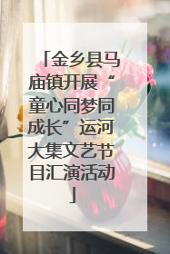 金乡县马庙镇开展“童心同梦同成长”运河大集文艺节目汇演活动