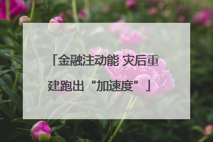 金融注动能 灾后重建跑出“加速度”