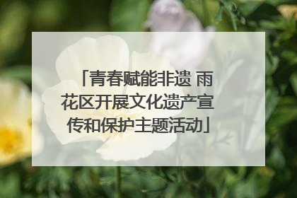 青春赋能非遗 雨花区开展文化遗产宣传和保护主题活动