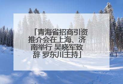 青海省招商引资推介会在上海、济南举行 吴晓军致辞 罗东川主持