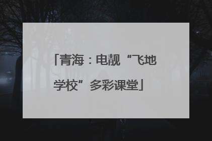 青海：电靓“飞地学校”多彩课堂