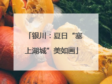 银川:夏日“塞上湖城”美如画