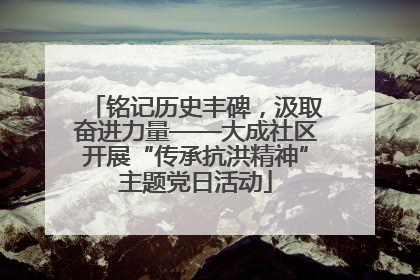 铭记历史丰碑，汲取奋进力量——大成社区开展“传承抗洪精神”主题党日活动