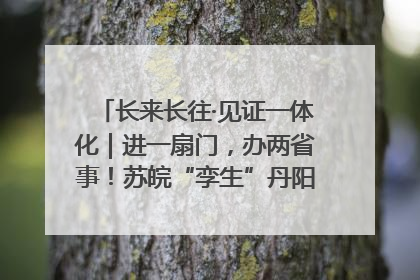 长来长往·见证一体化｜进一扇门，办两省事！苏皖“孪生”丹阳如何做到的？