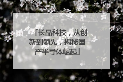 长晶科技，从创新到领先，揭秘国产半导体崛起