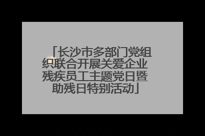 长沙市多部门党组织联合开展关爱企业残疾员工主题党日暨助残日特别活动