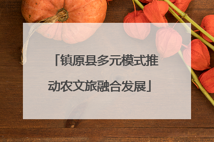 镇原县多元模式推动农文旅融合发展
