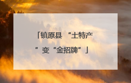 镇原县 “土特产”变“金招牌”