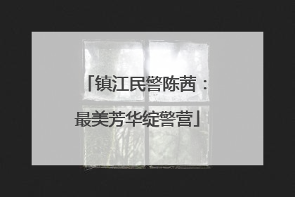 镇江民警陈茜：最美芳华绽警营