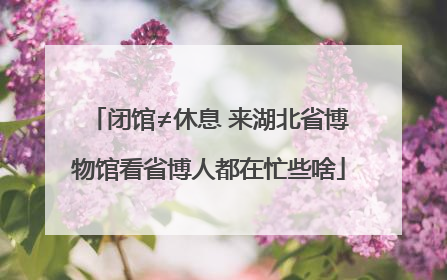 闭馆≠休息 来湖北省博物馆看省博人都在忙些啥