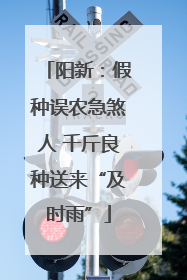 阳新：假种误农急煞人 千斤良种送来“及时雨”