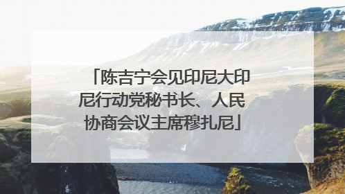 陈吉宁会见印尼大印尼行动党秘书长、人民协商会议主席穆扎尼