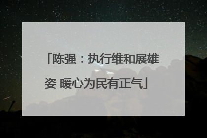 陈强：执行维和展雄姿 暖心为民有正气