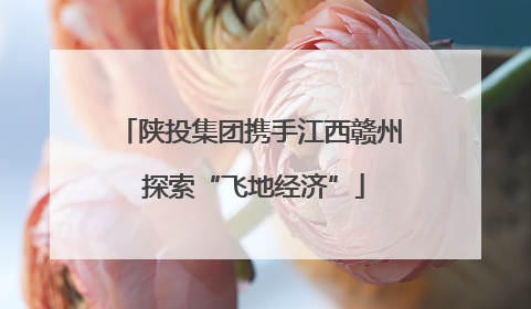 陕投集团携手江西赣州 探索“飞地经济”