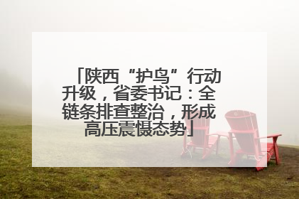 陕西“护鸟”行动升级，省委书记：全链条排查整治，形成高压震慑态势