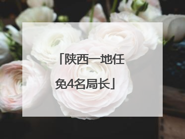 陕西一地任免4名局长