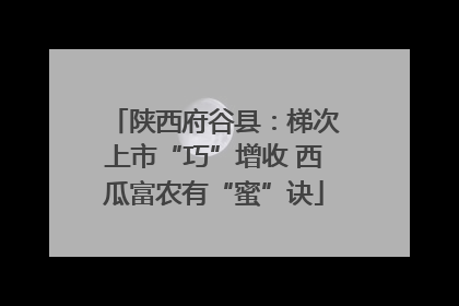 陕西府谷县：梯次上市“巧”增收 西瓜富农有“蜜”诀