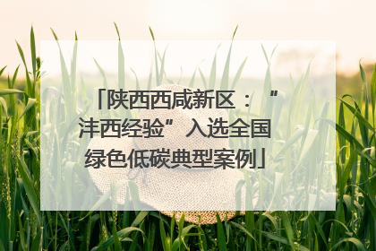 陕西西咸新区：“沣西经验”入选全国绿色低碳典型案例