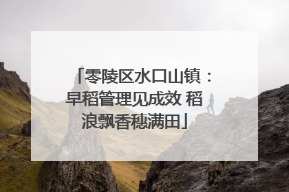 零陵区水口山镇：早稻管理见成效 稻浪飘香穗满田