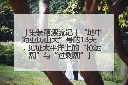集装箱漂流记丨“地中海亚历山大”号的13天，见证太平洋上的“抢运潮”与“过剩潮”