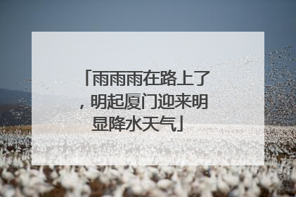 雨雨雨在路上了，明起厦门迎来明显降水天气