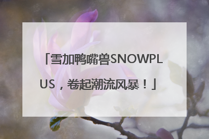 雪加鸭嘴兽SNOWPLUS，卷起潮流风暴！
